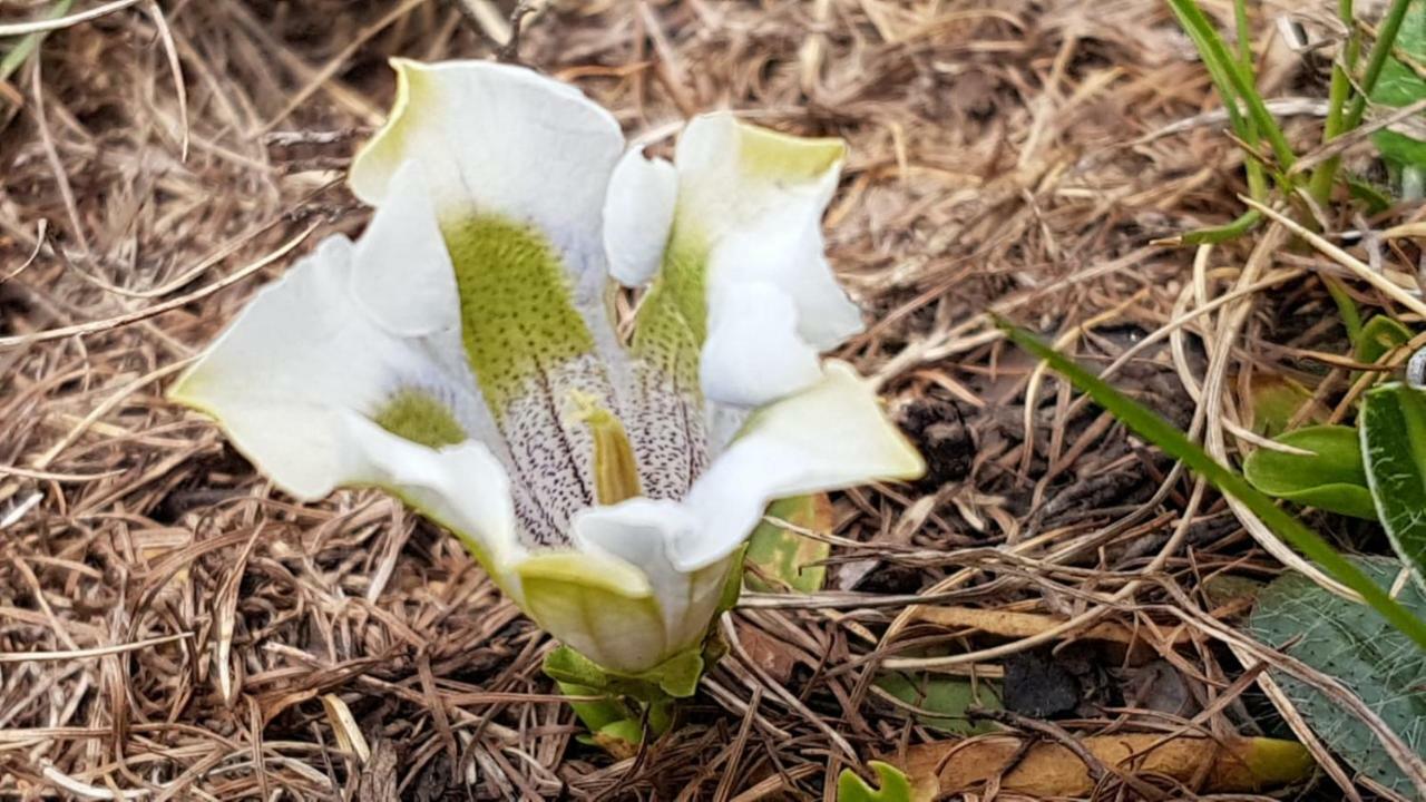 דירות Fundres Plattnerhof מראה חיצוני תמונה